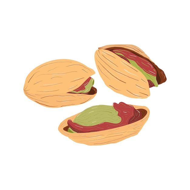 A group of three pistachio nuts Pistachio kernels in shells Colorful flat illustration