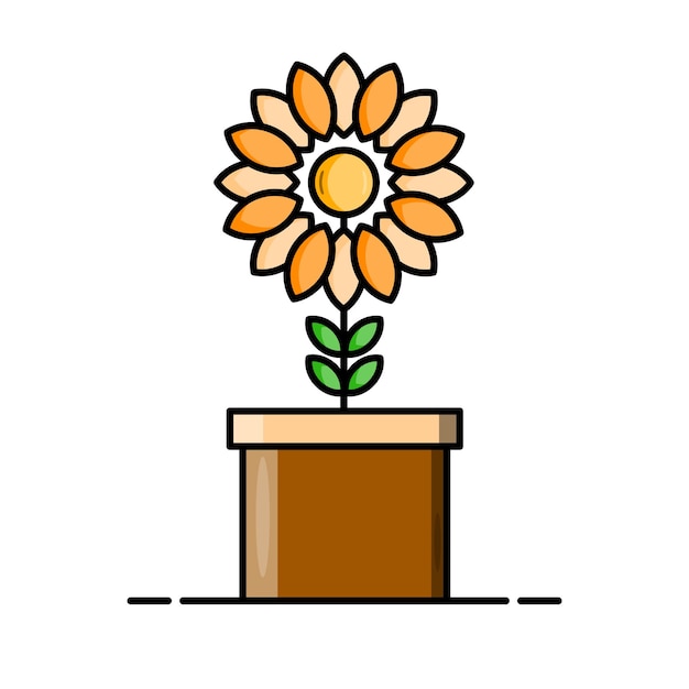 Growing sunflower in a pot