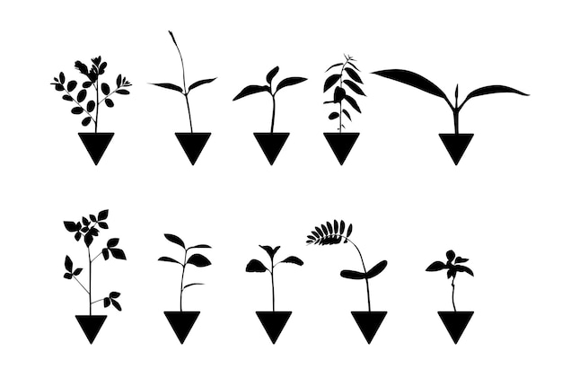 Growth tree silhouette set