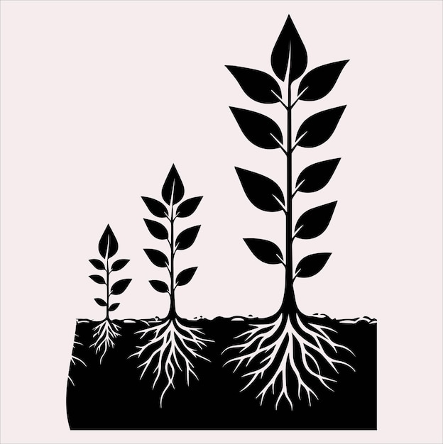 growth tree vector silhouette on a white background