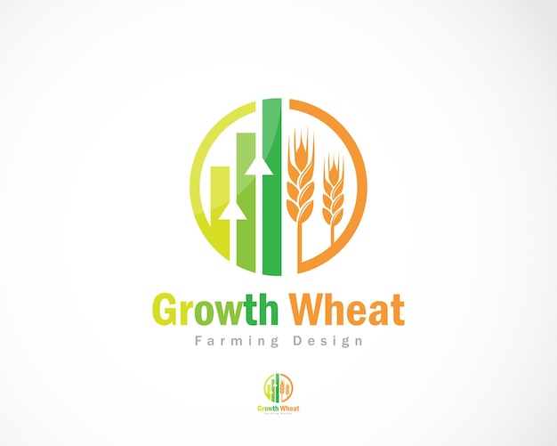 Growth wheat logo creative farm finance agriculture design concept