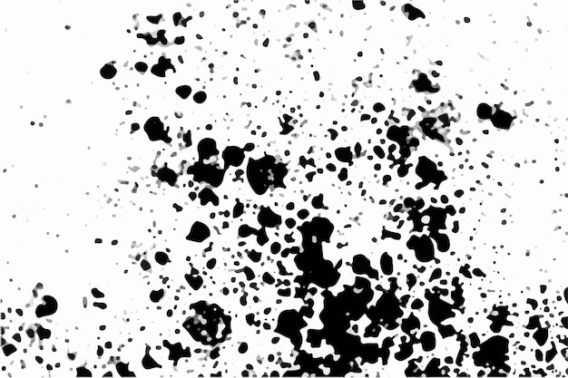 Grunge black and white pattern Monochrome particles abstract texture Black and white Grunge texture