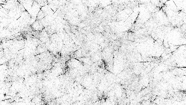 Grunge detailed texture background of dots veins veins Abstract black gray texture on white vector background