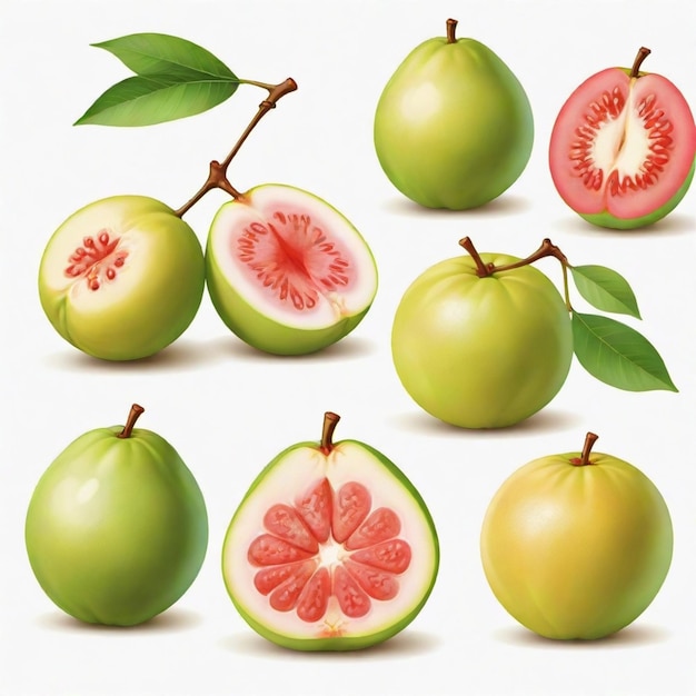 Guava cartoon vector set White background isolated