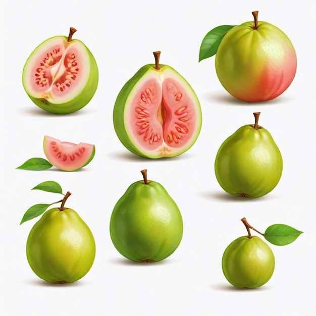 Guava cartoon vector set White background isolated