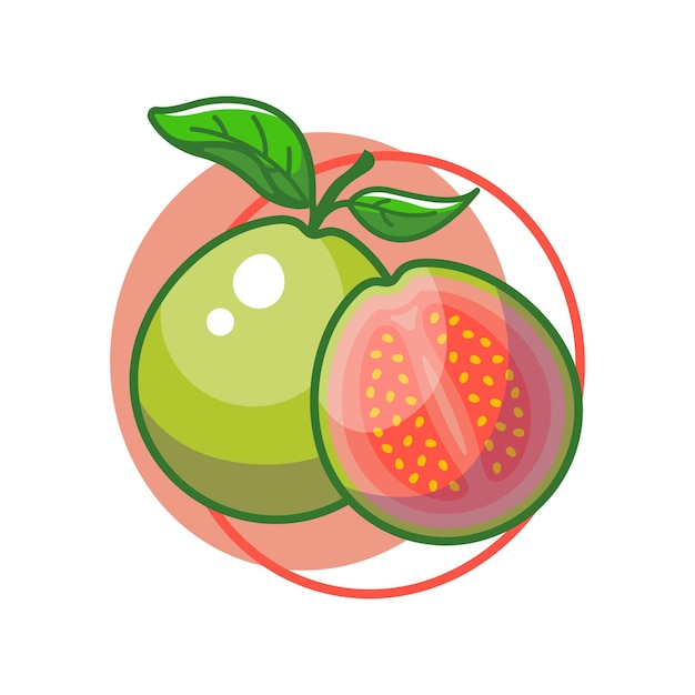 Guava fruit drawing illustration design