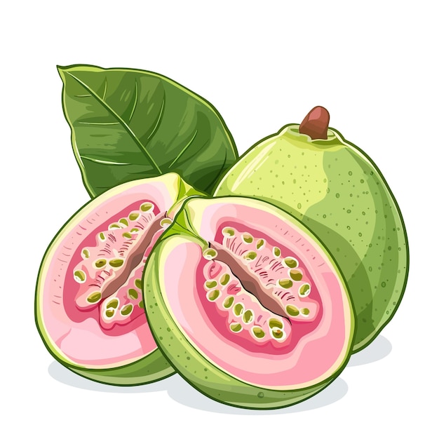 Guava fruits