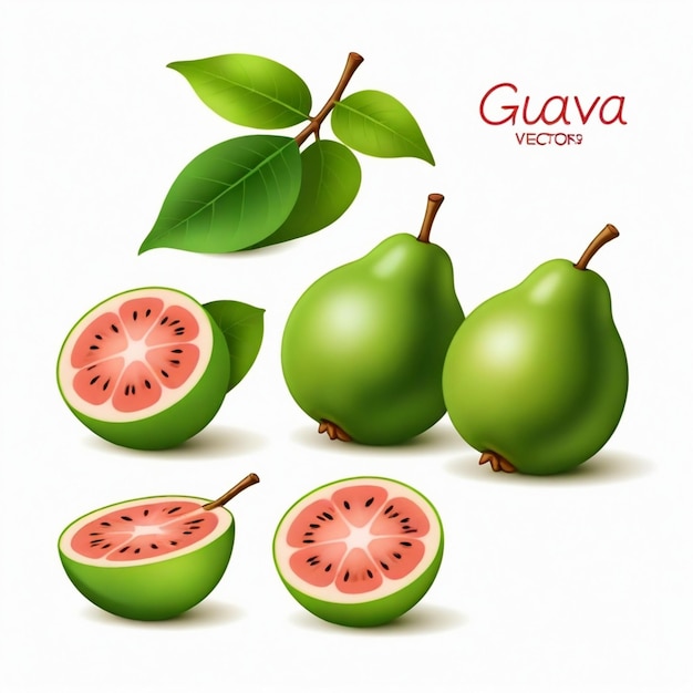 Guava vector set white background isolated a high quality