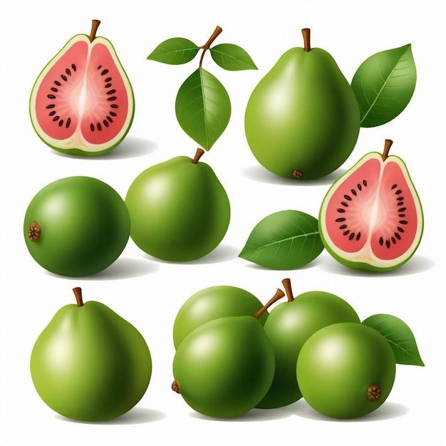 Guava vector set white background isolated a high quality