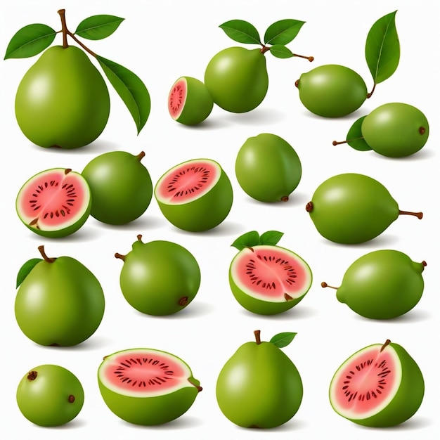 Guava vector set white background isolated a high quality