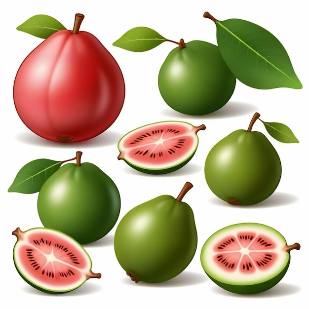 Guava vector set white background isolated a high