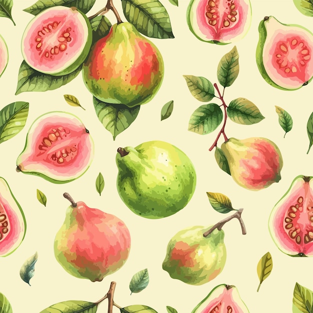 Guava with leaves seamless pattern Vector watercolor exotic fruits background