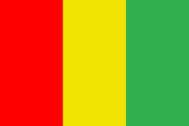 Guinea flag pattern background Realistic national flag design Abstract vector template