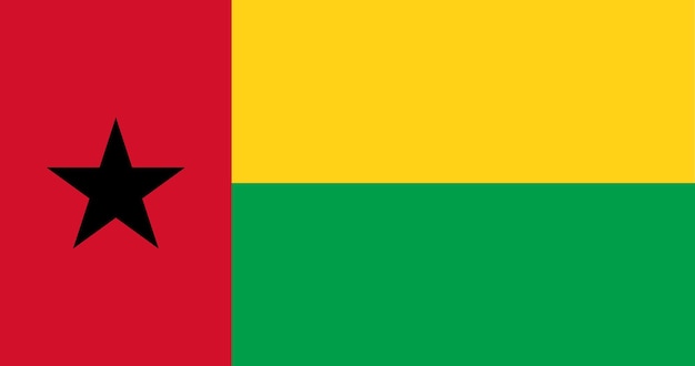 Guinea flag in vector