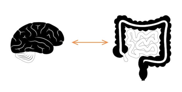 Gut brain connection