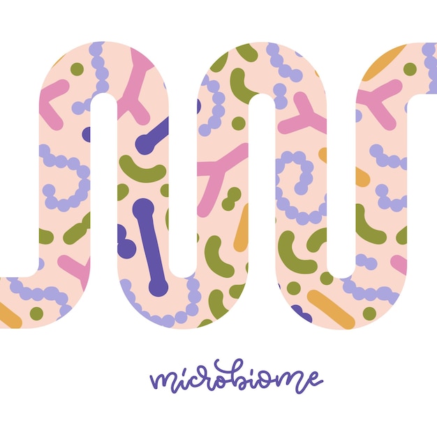 Gut microbiome banner with abstarct guts human intestine microbiota with healthy probiotic bacteria