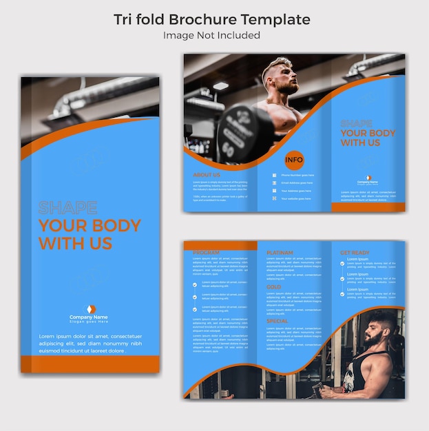 Vector gym and fetness vector tri fold professional brochure template