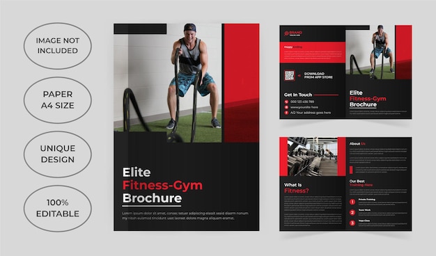 Vector gym and fitness brochure template