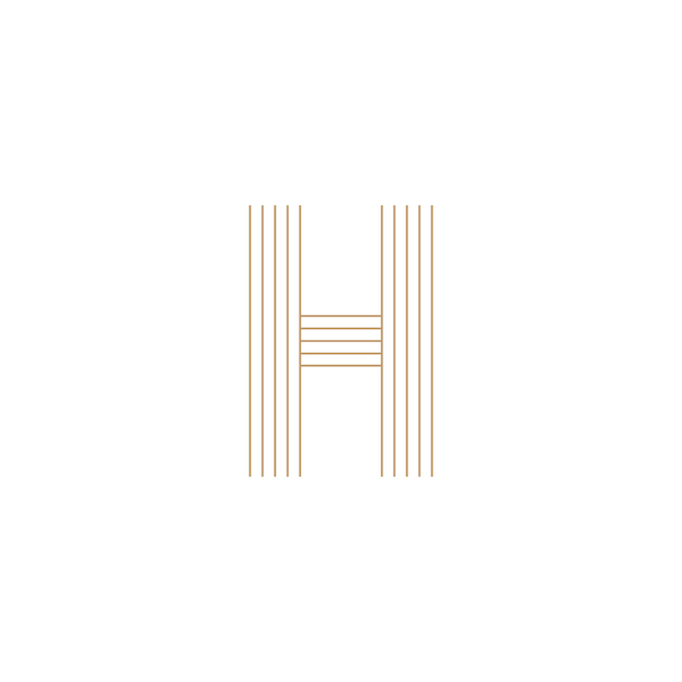 H letter logo