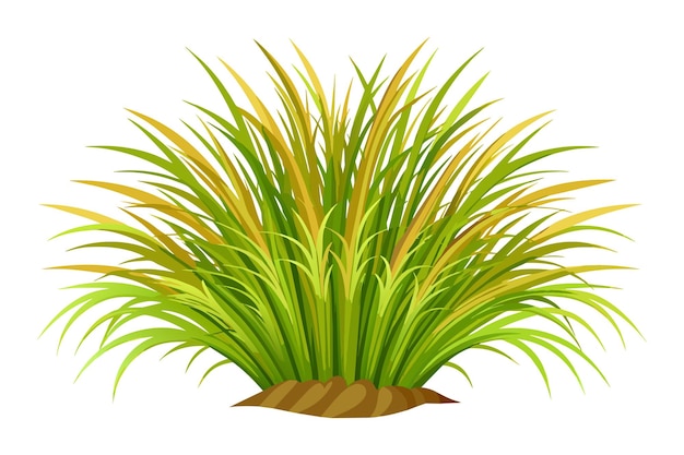 Hairgrass flat vector illustration on white background