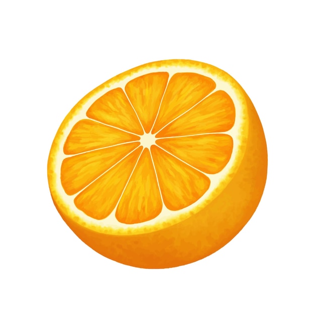 Half of a cut orange Vector realistic illustration isolated on white background Orange eps icon clip art