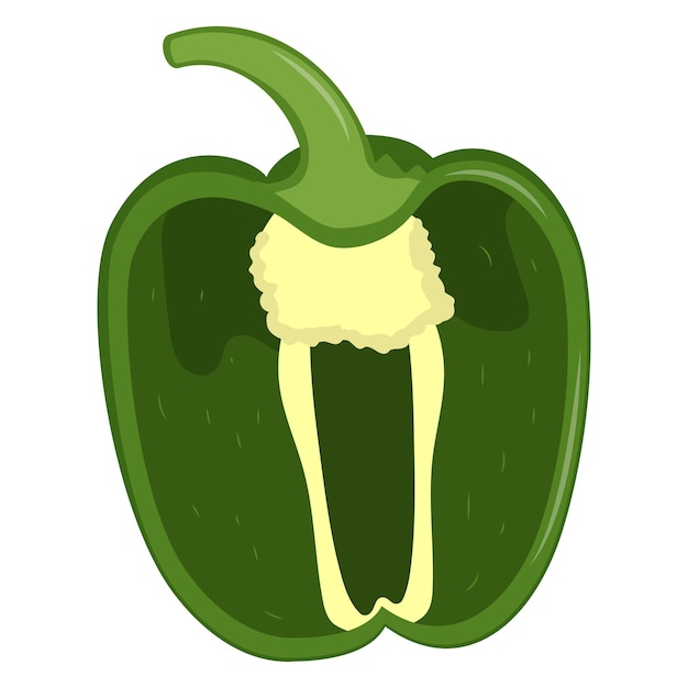 Half of cute green pepper isolated on white background Flat vector illustration