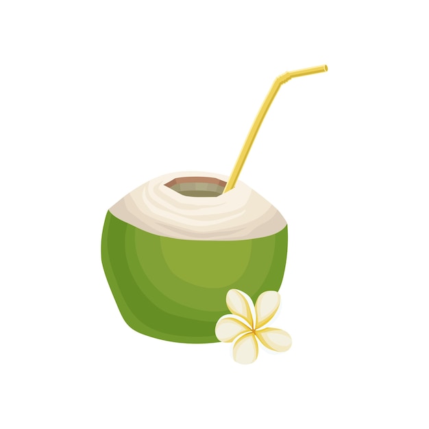 Half of fresh green coconut with drinking straw and small flower Exotic cocktail Flatvector element for party poster or flyer