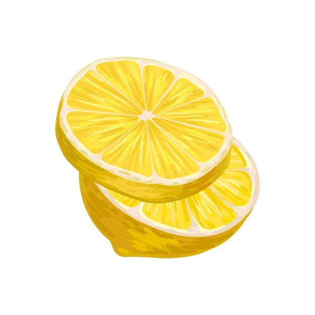 Half of lemon with one round slice Juicy yellow fruit Fresh and healthy food Organic product Design element for juice or tea packaging Detailed vector icon