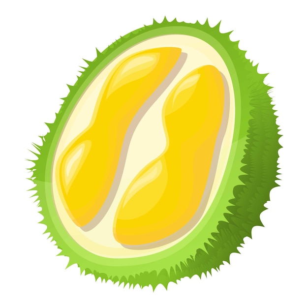 Half tasty durian icon Cartoon of half tasty durian vector icon for web design isolated on white background