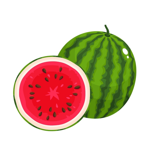 half and whole of juice watermelon. Fresh cartoon berry isolated