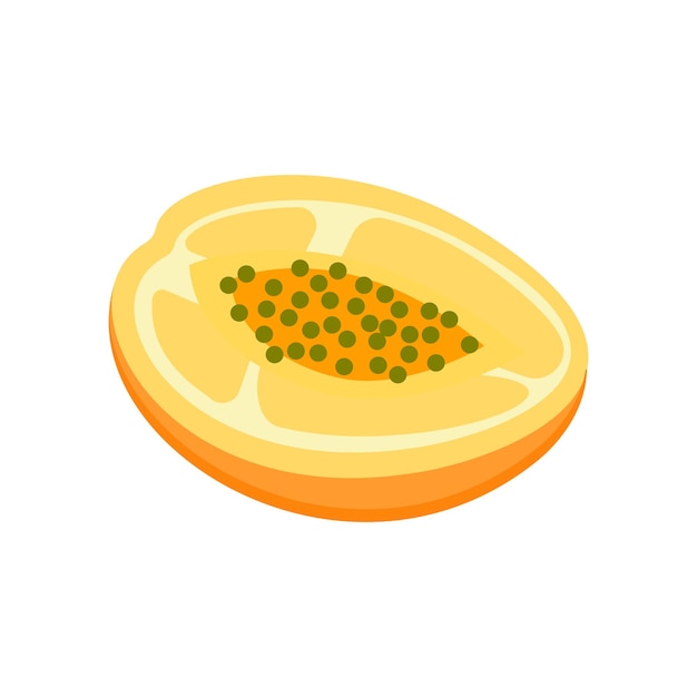 A halfmelon Isolated on white background half melon isometric vector for web design