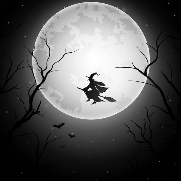 Vector halloween background with flying witch