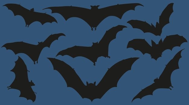 Vector halloween bats