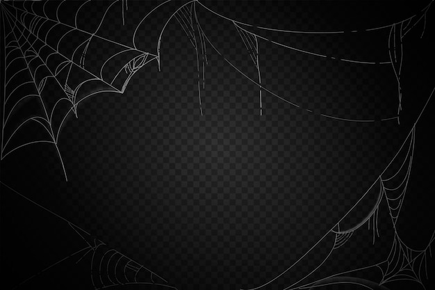 Halloween cobweb background