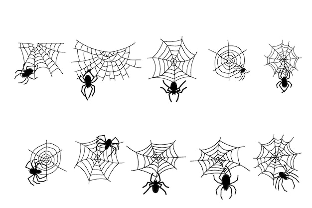 Halloween monochrome spider web and spiders isolated on white background Vector illustration