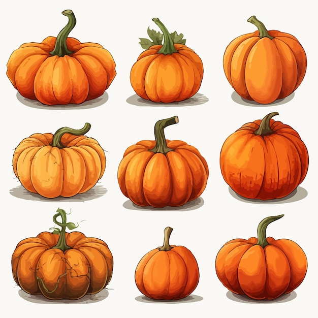 halloween pumpkin set