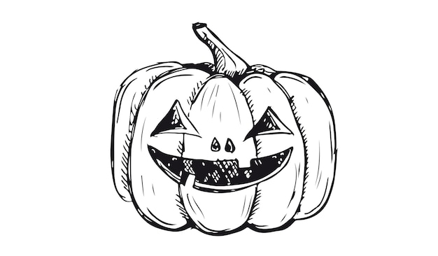 Halloween pumpkins. Hand drawn illustration.