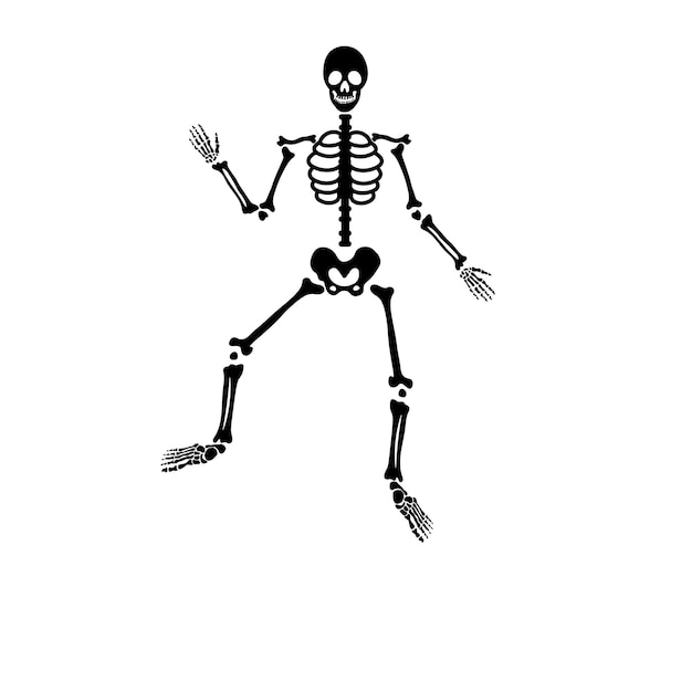 Halloween scary bones skeleton