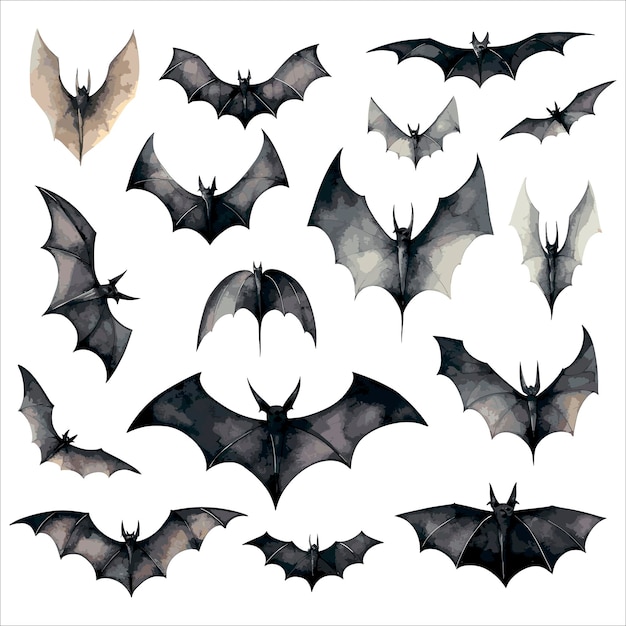 Halloween set with black bats on white background