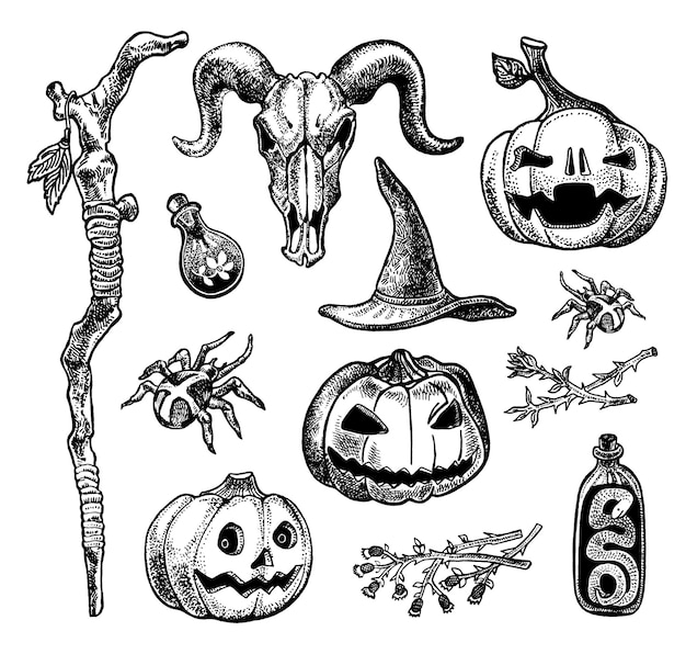 Halloween set with pumpkins spider hat goat skull poisons and herbs Hand drawn illustration in engraving style