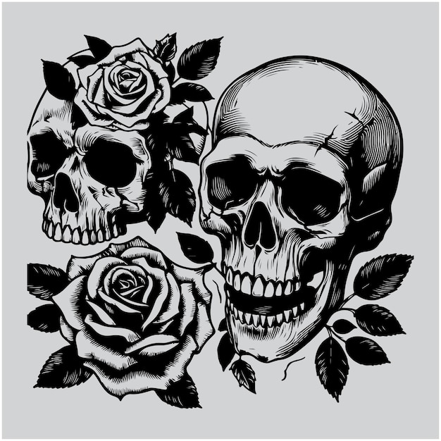 Halloween Skull with a Rose Isolated Vector illustration