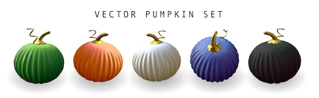 Halloween or Thanksgiving realistic pumpkin set isolated Ripe 3d pumpkins vector collection