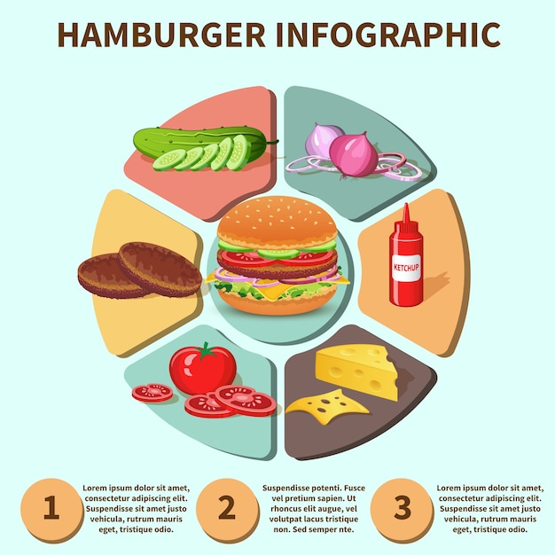 Hamburger sandwich infographic