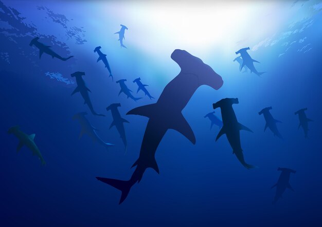 Vector hammerhead sharks in deep blue sea