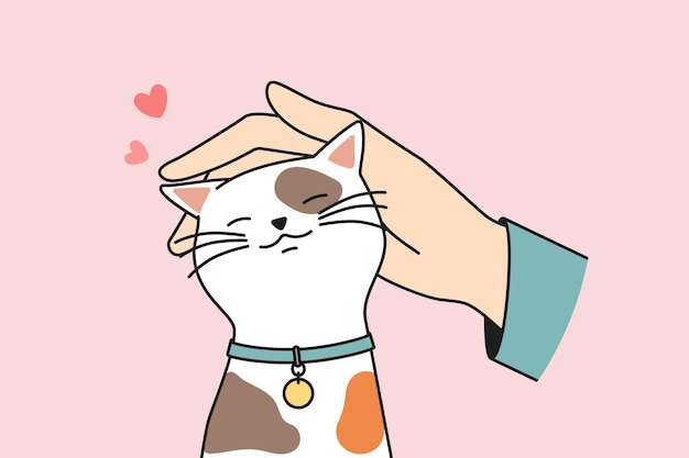 Hand caress cute cat