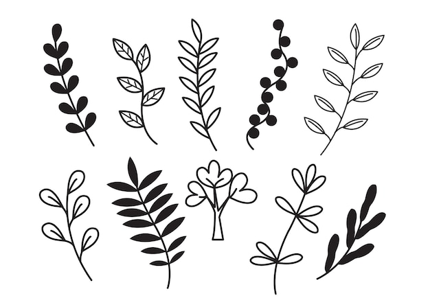 Hand draw floral decoration elements