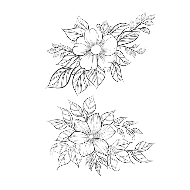 Hand draw floral decoration elements