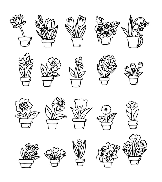 hand draw floral with pot and botanical iconelementshand drawndoodleclipartvector illustratio