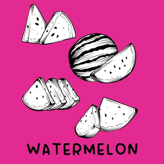 Vector hand draw fruits watermelon icon