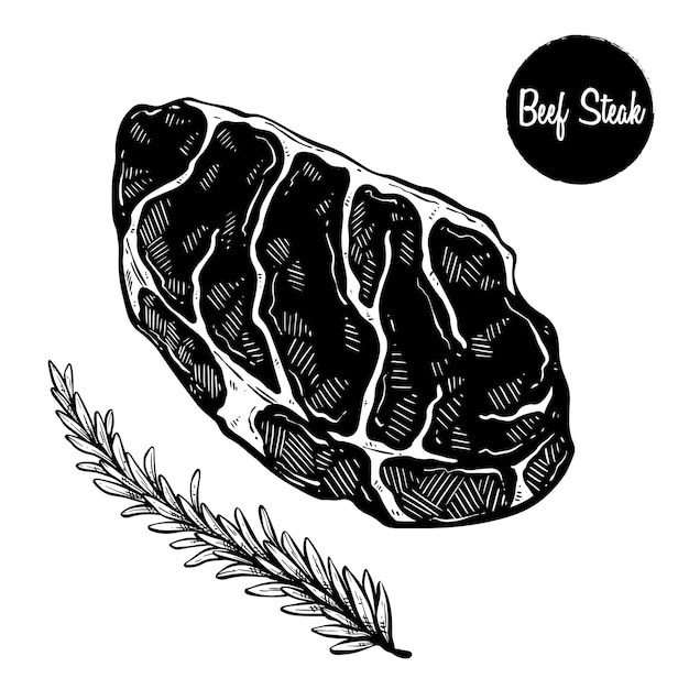 Vector hand drawing beef steak with rosemary illustration